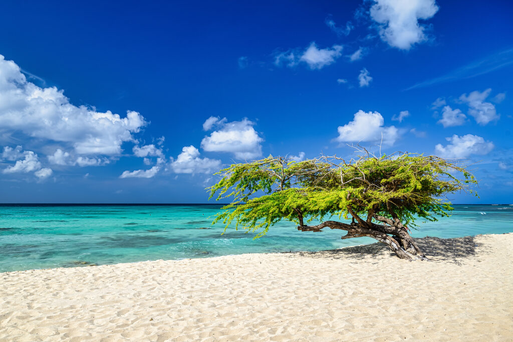 Best Beaches Aruba Richard Franken Aruba Travel 4